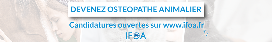 IFOA