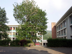 Lycée Rabelais ⋅ Meudon